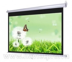 Màn chiếu treo tường Screen Pro WS3150