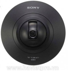 Camera Sony SNC-DH210