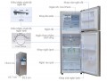 Tủ lạnh Inverter Samsung RT22FARBDSA/SV - 236 lít
