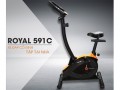 Xe đạp cố định Royal 591C