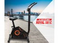 Xe đạp cố định Royal 581C