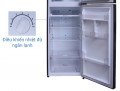 Tủ lạnh LG inverter GN-L315PN 315 lít