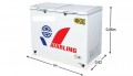 Tủ đông Darling DMF-2799 AXL 270 lít