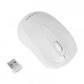 Chuột máy tính không dây Targus W600 Wireless Optical Mouse (White) (AMW60001AP-52)