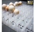 Máy ấp trứng mini (50 trứng)
