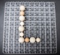 Máy ấp trứng 200 trứng CONVECTION LIC-200