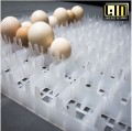 Máy ấp trứng Convection LIC-800 (800 trứng)
