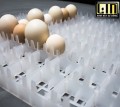 Máy ấp trứng 1400 trứng Convection LIC-1400