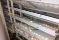Máy ấp trứng Mactech MT3000PS (3000 trứng)