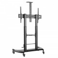 TTL06H-610TW: Chân đế di động cỡ lớn, điều chỉnh độ cao bằng tay dùng cho màn hình tương tác/màn hình hiển thị /TV 60"-100"