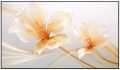 Bộ máy chiếu Xgimi Aura 2 (New) - 100 Bundle