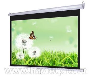 Màn chiếu treo tường Screen Pro WS3150