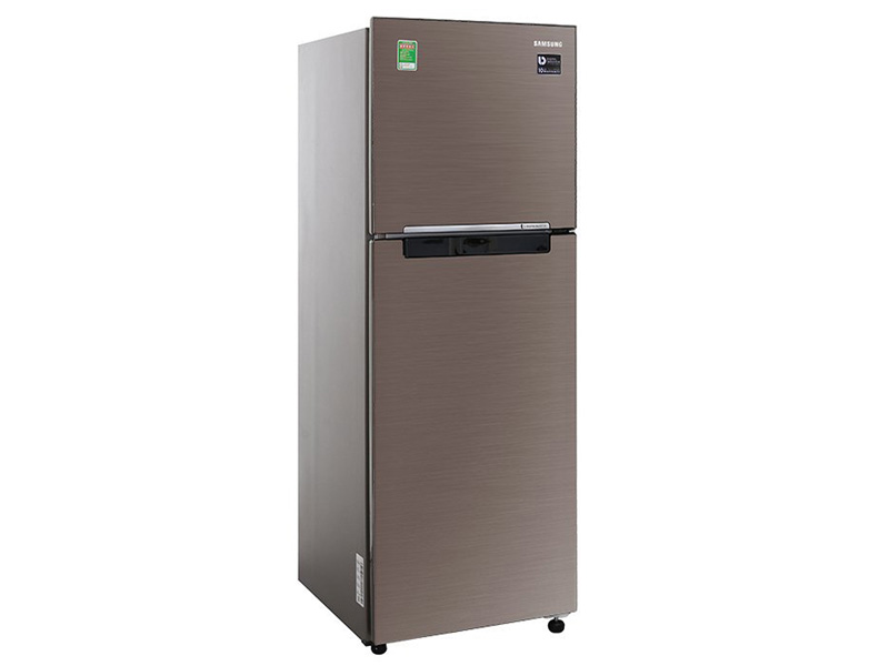 Tủ lạnh Samsung Inverter 236 lít RT22M4040DX/SV model 2019