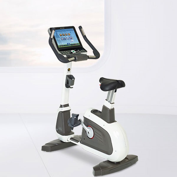 Xe đạp ngồi HUB-700T
