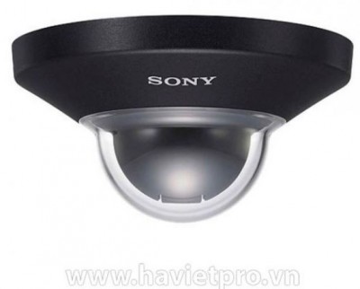 Camera Sony SNC-DH110T