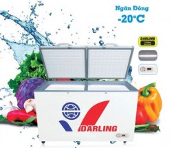 Tủ đông Darling DMF-8779AX 870 lít