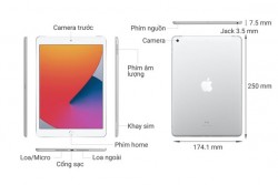 iPad 10.2 2020 Wi-Fi + Cellular 32GB