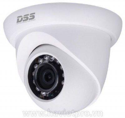 Camera IP Dahua DS2300DIP