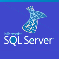Phần Mềm Microsoft SQLSvrStd 2019 SNGL OLP NL