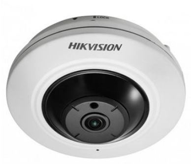 Camera Hikvision DS-2CD2942F-IWS
