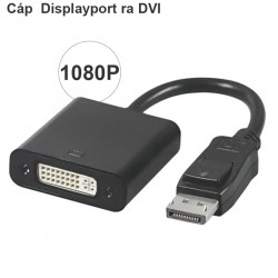 Đầu chuyển đổi DisplayPort sang DVI 24+5