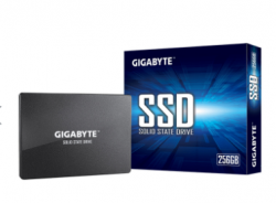 Ổ CỨNG SSD GIGABYTE 256GB SATA 2,5 INCH (ĐOC 520MB/S, GHI 500MB/S) - (GP-GSTFS31256GTND)