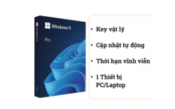 Phần mềm Microsoft Windows 11 Pro