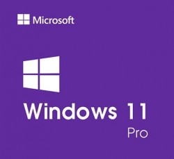 Phần mềm Windows Pro 11 64Bit Eng Intl 1pk DSP OEI DVD (FQC-10528)