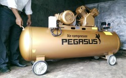 Máy nén khí Pegasus TM-V-0.6/8-330L