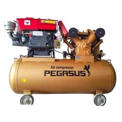  Máy nén khí chạy bằng dầu Diesel Pegasus TM-W-1.6/8