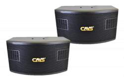 Loa Karaoke CAVS 525SE