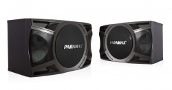 Loa Karaoke Paramax P1000 
