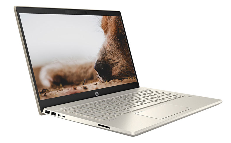 Laptop HP Pavilion 14-dv0534TU 4P5G3PA (Core i7-1165G7 | 8GB | 512GB | Intel Iris Xe | 14 Inch FHD | Win 10 | Warm Gold)