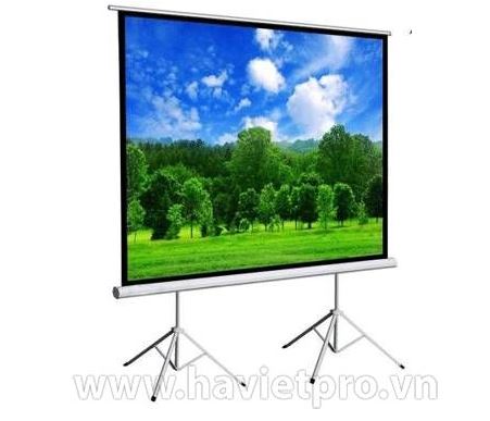 Màn chiếu 3 chân LYSCREEN TEB-150S