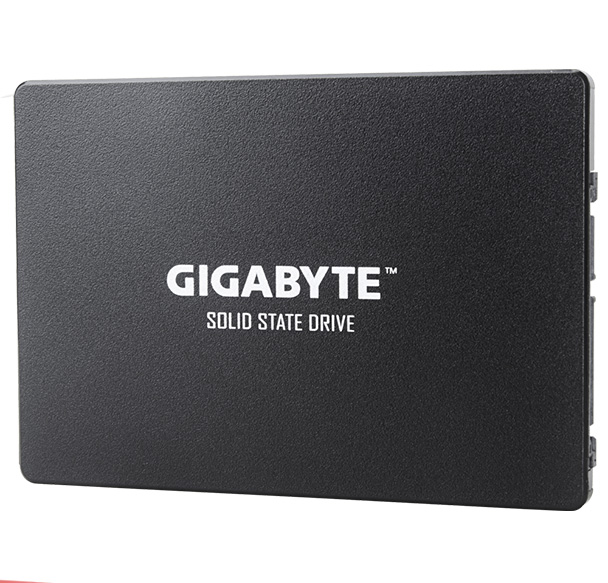 Ổ SSD Gigabyte GP-GSTFS31256GTND 256Gb (SATA3/ 2.5Inch/ 520MB/s/ 500MB/s)