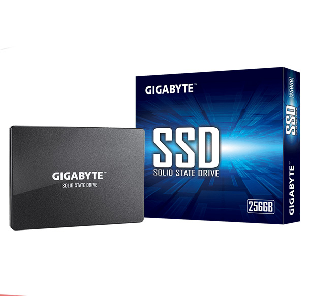 Ổ SSD Gigabyte GP-GSTFS31256GTND 256Gb (SATA3/ 2.5Inch/ 520MB/s/ 500MB/s)