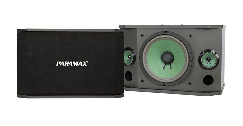 Loa Karaoke Paramax K850