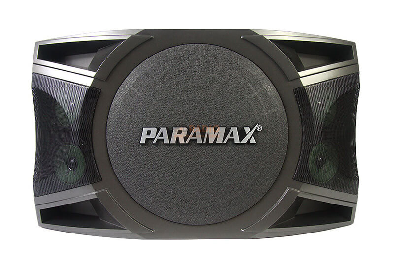 Loa Karaoke Paramax P1000 